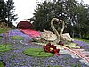 IMG_1251.JPG