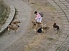 IMG_1276.JPG