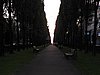 IMG_1284.JPG