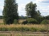IMG_1304.JPG