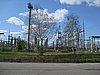 IMG_1319.JPG