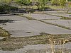 IMG_1349.JPG