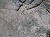 IMG_1355.JPG