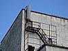 IMG_1367.JPG