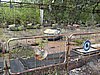 IMG_1373.JPG