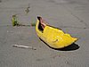 IMG_1388.JPG