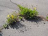IMG_1389.JPG