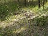IMG_1390.JPG