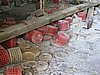 IMG_1403.JPG