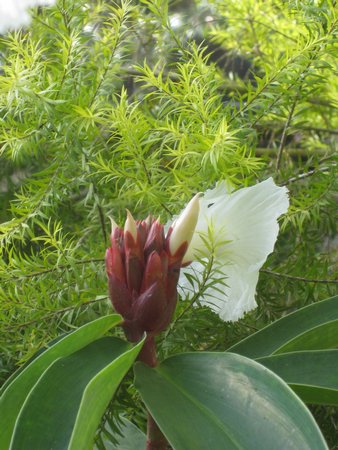 IMG_5203.JPG