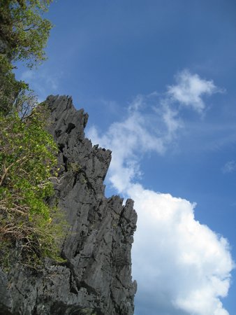 IMG_5629.JPG