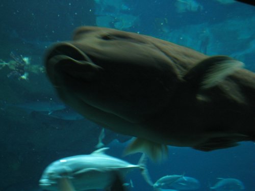 IMG_5858.JPG