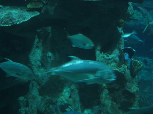 IMG_5859.JPG