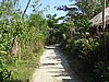 IMG_5172.JPG