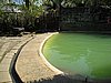 IMG_5173.JPG