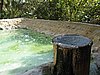 IMG_5174.JPG