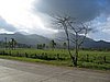 IMG_5220.JPG