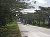 IMG_5222.JPG