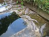 IMG_5235.JPG