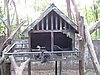 IMG_5244.JPG