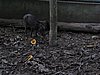 IMG_5245.JPG