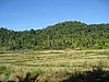 IMG_5289.JPG