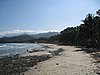 IMG_5293.JPG