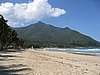IMG_5309.JPG