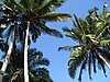 IMG_5312.JPG