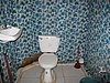 IMG_5317.JPG