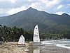 IMG_5330.JPG