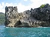 IMG_5349.JPG