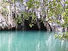 IMG_5355.JPG
