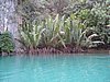 IMG_5361.JPG