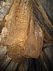 IMG_5368.JPG
