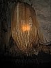 IMG_5376.JPG