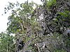 IMG_5386.JPG