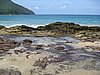 IMG_5399.JPG