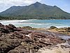 IMG_5400.JPG