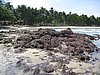 IMG_5403.JPG