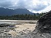 IMG_5447.JPG