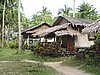 IMG_5462.JPG