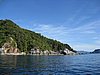 IMG_5480.JPG