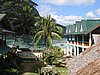 IMG_5501.JPG