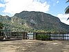 IMG_5509.JPG