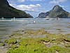 IMG_5515.JPG