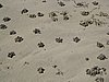 IMG_5560.JPG