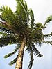 IMG_5562.JPG