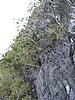 IMG_5664.JPG