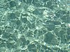 IMG_5673.JPG